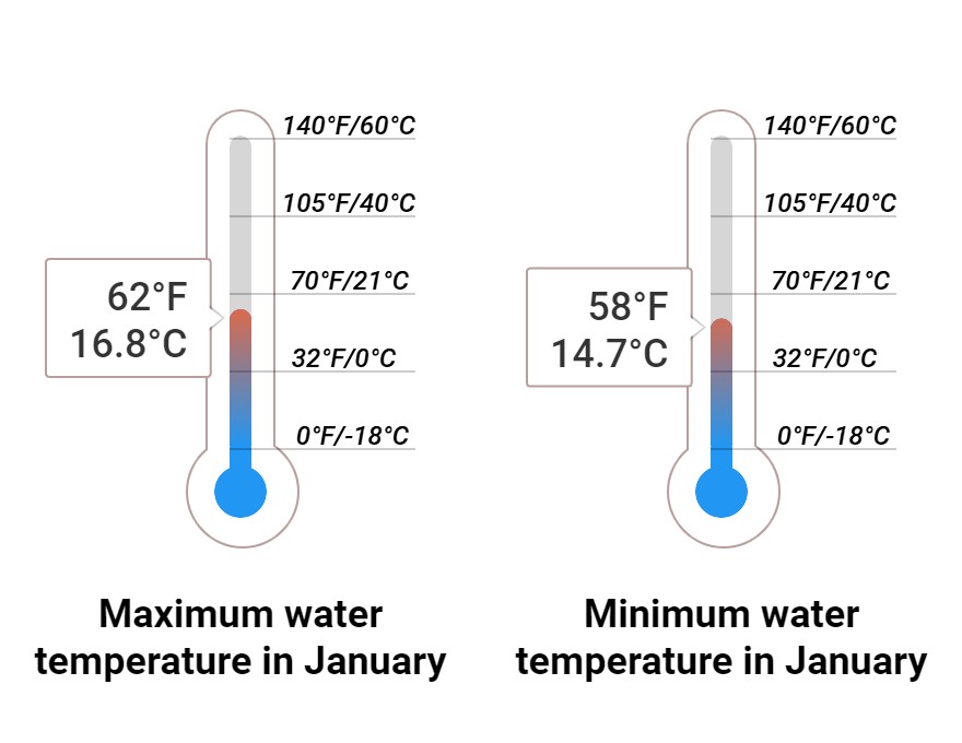 Average Sea temperature